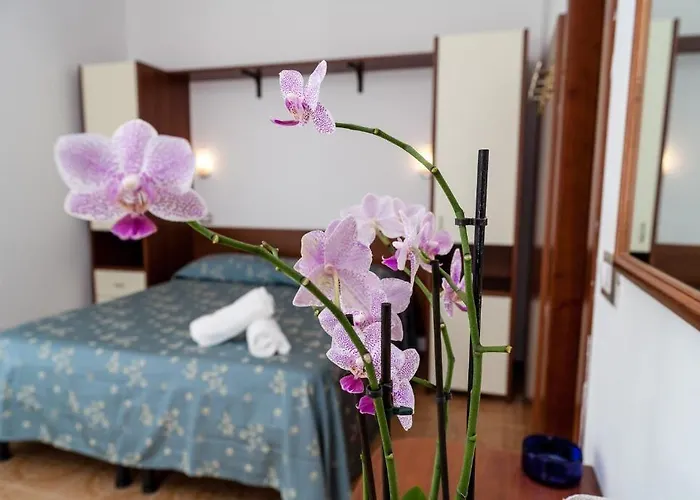 Отель Sayonara 3*