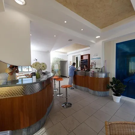 Sayonara 西尼加利亚