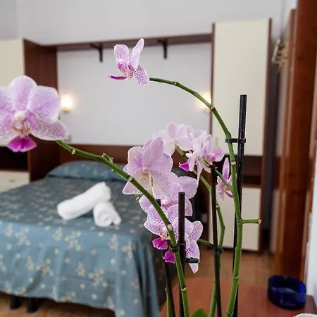 Hotel Sayonara 3*